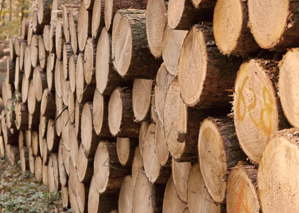 wood trunks, forest, tribes, tree trunk, stacked, wood, tribe, lumber, sawn, tree trunks, trees, nature, structure, firewood, forest work, annual rings, section, pile of wood, tree cases, timber, plant